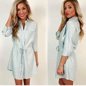 Chambre Shirt Dress